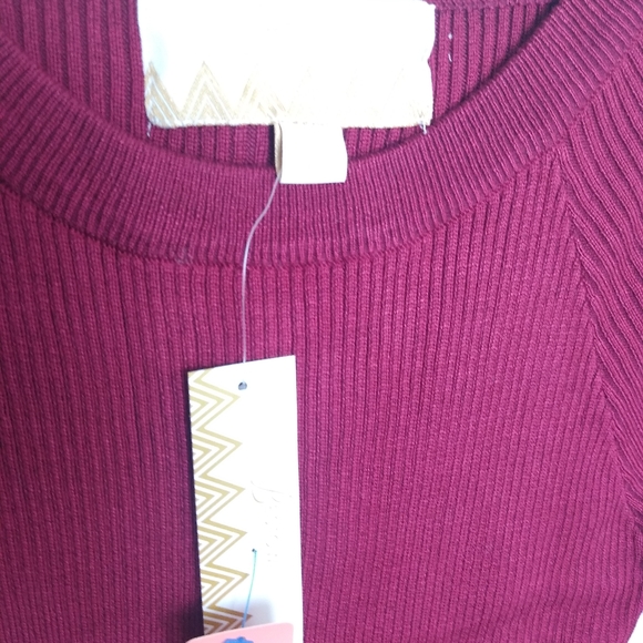 BESTOW Large Pullover Faux Decor Zipper Burgundy Rib Knit Sweater Top - Picture 8 of 8